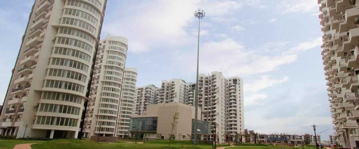 Apartment Rent Palm Drive Sector 66 Gurgaon 